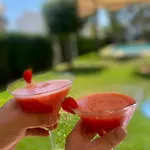 Casa Olivia